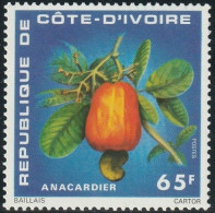 THEMATIC FLORA:  FRUIT, CASHEW.   -   COTE D'IVOIRE - Frutas