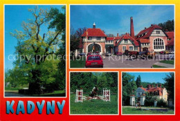 72714555 Kadyny Hotel Kadyny Palace Alter Baum Pferdekutsche Springreiten  - Polen