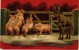 T2/T3 1907 Boldog Újévet / New Year Greeting Art Postcard With Pigs And Donkey. Emb. Litho (EK) - Sin Clasificación