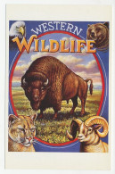 Postal Stationery USA 1993 Buffalo - Bear - Bighorn Sheep - Cougars - Eagle - Western  - Andere & Zonder Classificatie