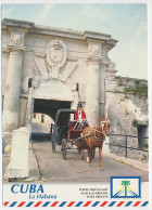 Postal Stationery Cuba 1999 Horse - Coach - Carriage - Ippica