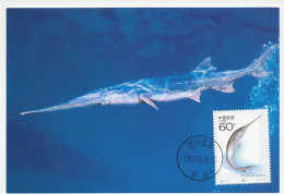 Maximum Card China 2001 Fish - Paddlefish - Swordfish - Fishes