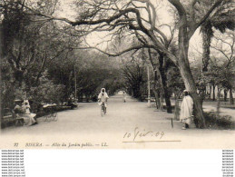 ALGERIE  BISKRA  Allée Du Jardin Public  ..... ( Ref H1823 ) - Biskra