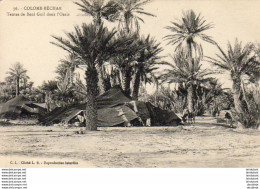 ALGERIE  COLOMB-BECHAR  Tentes De Béni Guil Dans L'Oasis       ........  (Ref H2300 ) - Bechar (Colomb Béchar)