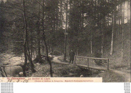 D88  GERARDMER  Le Sentier Du Lapin  ..... - Gerardmer