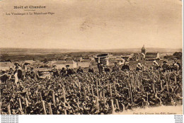 D51  ÉPERNAY  MOËT ET CHANDON  Les Vendanges à Le Mesnil Sur Oger - Epernay