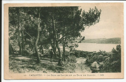 Le Bois De Sapins Et La Baie Du Clouët      1929    N° 22 - Carantec