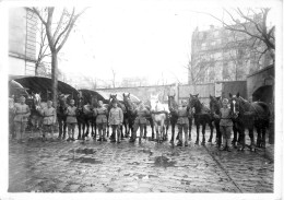 Photo 13x18cm PARIS XII Caserne Reuilly, Militaires Et Chevaux Du 46e Régiment D' Infanterie - Oorlog, Militair