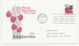 Cover / Postmark USA 1999 Raspberries - Obst & Früchte