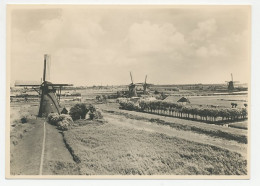 Postal Stationery Netherlands 1946 Windmill - Alblasserwaard - Windmills