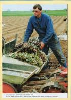 Alain LE ROUX se Prépare Pour Planter Les Drageons D'artichauts / SAINT-JEAN-DU-DOIGT (29) (QUINQUIS J.) C.M.T.B. N° 131 - Landbouwers