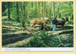 Débardage De Bois à Kéréault / PLOUGASTEL-DAOULAS (29) (THEPAUT H.) C.M.T.B. N° 120 / 400 Exemplaires (CARTOUEST) - Paysans