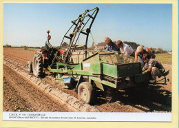 Récolte De Pommes De Terre Chez Mr LEMOINE Maraîcher / GUERANDE (44) (MAURICE Y.) C.M.T.B. N° 130 / 400 Ex (CARTOUEST) - Farmers