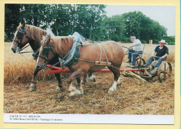 Fauchage à L'ancienne / SIZUN (29) (CALVEZ H.) C.M.T.B. N° 117 / 400 Exemplaires (CARTOUEST) - Campesinos