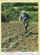 Louis BOURVIC Nettoie Son Champs  L'aide D'un Pousse-pousse / BANNALEC (29) (LAVERSANNE P.) C.M.T.B. N° 97 / 400 Ex - Paysans