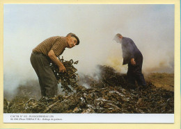 Brûlage Du Goémon / PLOUGUERNEAU (29) (THEPAUT H.) C.M.T.B. N° 103 / 400 Exemplaires (CARTOUEST) - Paysans