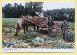 Mr Et Mme Claude MERCIER Charent Des Choux-fleurs / GUICLAN (29) (CALVEZ H.) C.M.T.B. N° 84 / 400 Ex (CARTOUEST) - Landbouwers