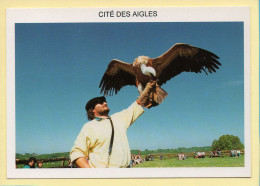 Cité Des Aigles / Bidaches / Spectacles D'oiseaux En Vol / Lâcher De Vautour Fauve (Elizabeth ARRIUS-PARDIES N° F311) - Autres & Non Classés