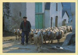 En Route Vers La Prairie (Elizabeth ARRIUS-PARDIES N° F354) Images D'un Temps Qui Passe / Collection Vallées Pyrénéennes - Landbouwers