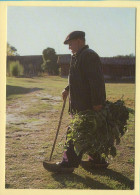 L'herbe Au Lapins (Elizabeth ARRIUS-PARDIES N° F353) Images D'un Temps Qui Passe / Collection Vallées Pyrénéennes - Campesinos