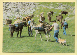 La Montée Vers L'estive (Elizabeth ARRIUS-PARDIES N° F355) Images D'un Temps Qui Passe / Collection Vallées Pyrénéennes - Paysans