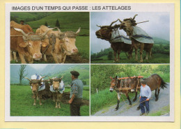 Les Attelages / 4 Vues (Elizabeth ARRIUS-PARDIES N° F361) Images D'un Temps Qui Passe / Collection Vallées Pyrénéennes - Campesinos