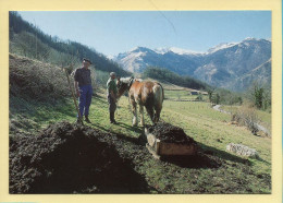 Epandage Du Fumier (Elizabeth ARRIUS-PARDIES N° D111) Images D'un Temps Qui Passe / Collection Vallées Pyrénéennes - Farmers