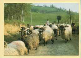 Sur Une Route Du Pays Basque (Renée TALIBART N° E16) Collection Vallées Pyrénéennes - Landbouwers