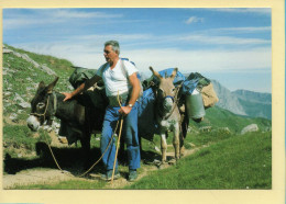 Le Berger Et Ses Mules En Route Vers La Trashumance (Elizabeth ARRIUS-PARDIES N° D 15) Images D'un Temps Qui Passe - Farmers