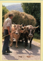 L'Attelage (Elizabeth ARRIUS-PARDIES N° D 16) Images D'un Temps Qui Passe / Collection Vallées Pyrénéennes - Landbouwers