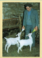 L'heure Du Biberon (Elizabeth ARRIUS-PARDIES N° D 40) Images D'un Temps Qui Passe / Collection Vallées Pyrénéennes - Bauern