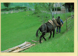 Descente Du Bois Avec Les Mules (Elizabeth ARRIUS-PARDIES N° D 64) Images D'un Temps Qui Passe - Landbouwers