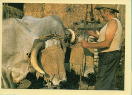 L'attelage (Elizabeth ARRIUS-PARDIES N° C 44) Collection Vallées Pyrénéennes - Campesinos