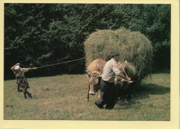 Fenaison En Haute Montagne / Assurer L’équilibre De La Charretée (Elizabeth ARRIUS-PARDIES N° C 48) - Farmers