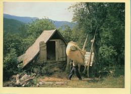 Grange De Haute Montagne / Rentrée Des Foins (Elizabeth ARRIUS-PARDIES N° C 49) Collection Vallées Pyrénéennes - Paysans