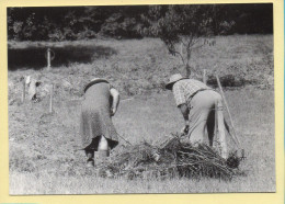 Confection Des Fagots (Elizabeth ARRIUS-PARDIES N° C 5) Images D'un Temps Qui Passe / Collection Vallées Pyrénéennes - Farmers