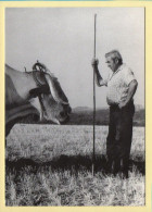 Tête à Tête (Elizabeth ARRIUS-PARDIES N° C 16) Images D'un Temps Qui Passe / Collection Vallées Pyrénéennes - Campesinos