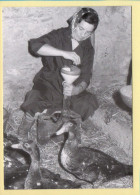 Le Gavage Des Canards (Elizabeth ARRIUS-PARDIES N° C 12) Images D'un Temps Qui Passe / Collection Vallées Pyrénéennes - Farmers