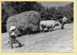 Recherche De L'équilibre Dans La Prairie De Montagne (Elizabeth ARRIUS-PARDIES N° C 18) Images D'un Temps Qui Passe - Campesinos
