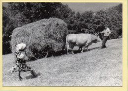 Recherche De L'équilibre Dans La Prairie De Montagne (Elizabeth ARRIUS-PARDIES N° C 18) Images D'un Temps Qui Passe - Paesani