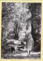 La Bergère (Elizabeth ARRIUS-PARDIES N° C 26) Images D'un Temps Qui Passe / Collection Vallées Pyrénéennes - Paysans