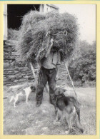 Le Grenier à Foin (Elizabeth ARRIUS-PARDIES N° C 27) Images D'un Temps Qui Passe / Collection Vallées Pyrénéennes - Landbouwers