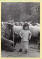 A Toi Petit De Mener Le Troupeau ! (Elizabeth ARRIUS-PARDIES N° C 36) Images D'un Temps Qui Passe - Farmers