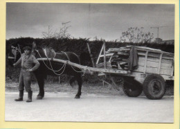 Rencontre Sur Le Bord Du Chemin (Elizabeth ARRIUS-PARDIES N° C 22) Images D'un Temps Qui Passe - Farmers