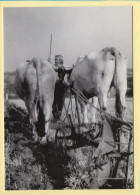 Labours (Elizabeth ARRIUS-PARDIES N° C 28) Images D'un Temps Qui Passe / Collection Vallées Pyrénéennes - Campesinos