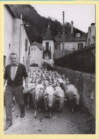 Traversée Du Village Par Un Troupeau (Elizabeth ARRIUS-PARDIES N° C 31) Images D'un Temps Qui Passe - Landbouwers