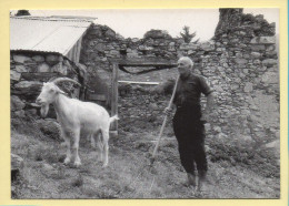 Deux Compagnons (Elizabeth ARRIUS-PARDIES N° C 40) Images D'un Temps Qui Passe / Collection Vallées Pyrénéennes - Landbouwers