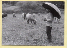 Dans La Prairie (Elizabeth ARRIUS-PARDIES N° C 39) Images D'un Temps Qui Passe / Collection Vallées Pyrénéennes - Paesani