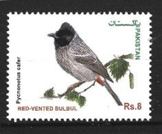 PAKISTAN. N°1390 De 2013. Bulbul. - Songbirds & Tree Dwellers
