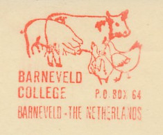 Meter Cut Netherlands 1978 Cow - Pig - Chicken - Farm